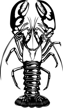 linocut lobster