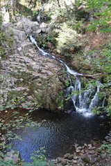 Cascade du Saut du Bouchot (Sapois, Vosges department, Grand Est, France) © stefantoonstra