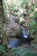Cascade du Saut du Bouchot (Sapois, Vosges department, Grand Est, France) © stefantoonstra