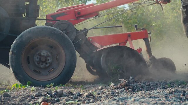 Red walk behind tractor tilling dry soil with rotating cultivator, raising dust across a sunlit agricultural field during ground preparation