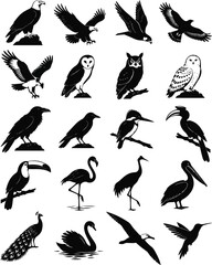 Fototapeta premium Various Birds Silhouette Icon Set Isolated on White Background
