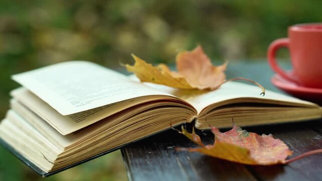 Open vintage book with autumn leaves beside red coffee cup on wooden table in softly blurred outdoor setting, creating a quiet seasonal reading scene