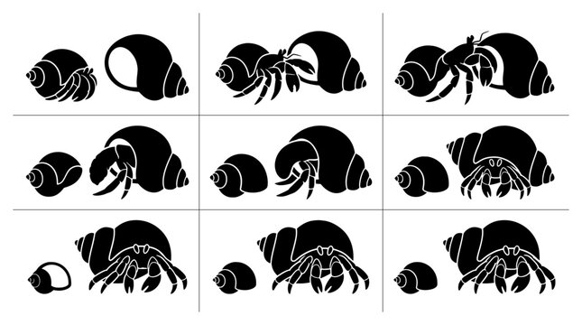 Hermit crab silhouettes set showing shell changing and different poses for nature illustration