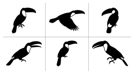 Fototapeta premium Toucan silhouettes set with birds in flight and perched for nature logos and prints