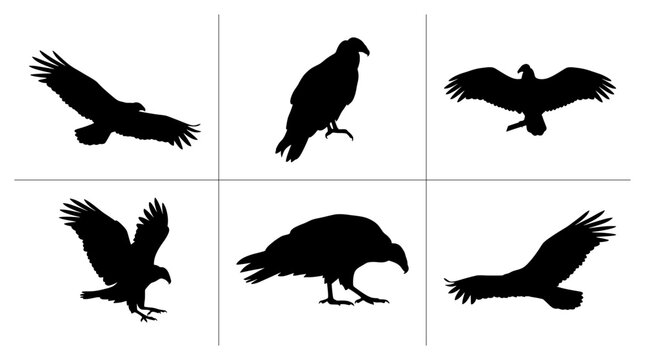 Vulture silhouettes set with birds in flight and perched for wildlife logos and nature design