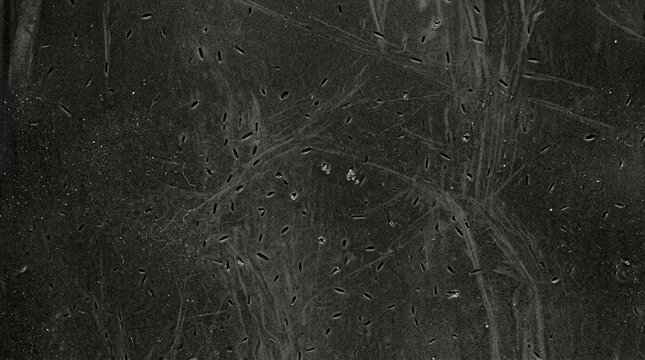 Abstract dark grunge texture with scratches and small debris particles