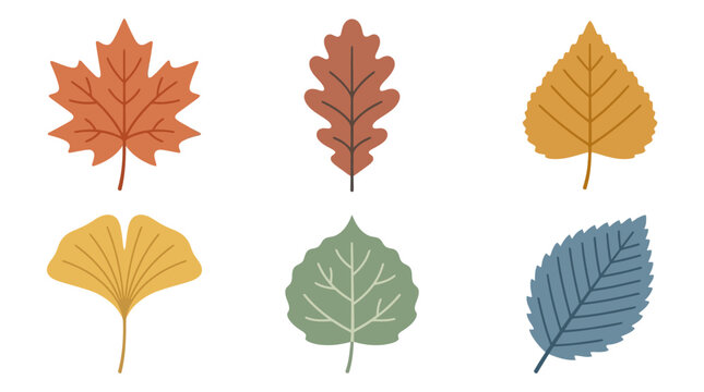 Set of colorful autumn tree leaves vector flat icons isolated on white background