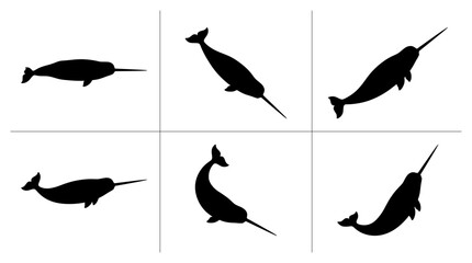 Narwhal silhouettes set with different poses and orientations for marine life or Arctic themes © Jamal
