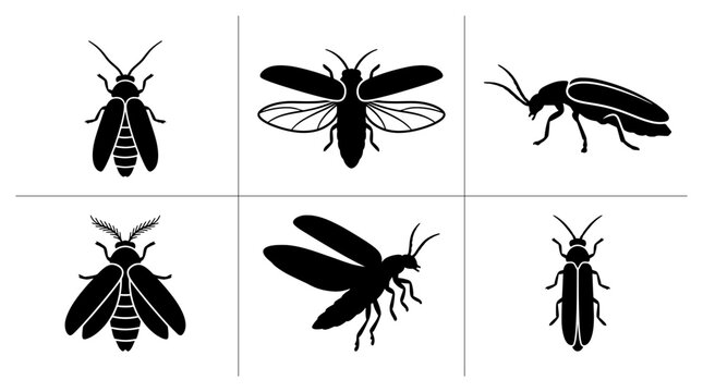 Insect silhouettes set with fireflies, beetles, and bugs for nature logos and science icons