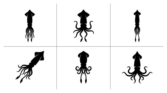 Squid silhouettes set with tentacles and different poses for ocean or sea themes logo