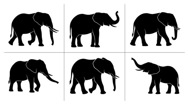 African elephant silhouettes set with walking and standing poses for wildlife or zoo themes
