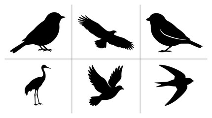 Fototapeta premium Bird silhouettes set with eagle, crane, dove and sparrows for nature logos