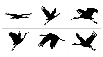 Fototapeta premium Crane silhouettes set in flight with various wing and leg positions for nature logos and signage