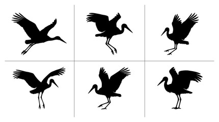 Fototapeta premium White stork silhouettes set with flying and landing poses for nature logos and prints
