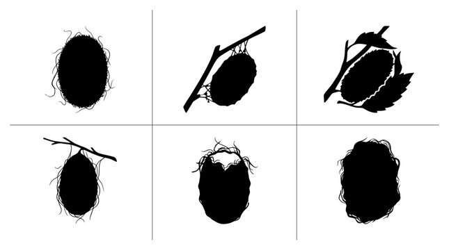 Silkworm moth cocoons silhouettes set with variations on branches and leaves for nature design