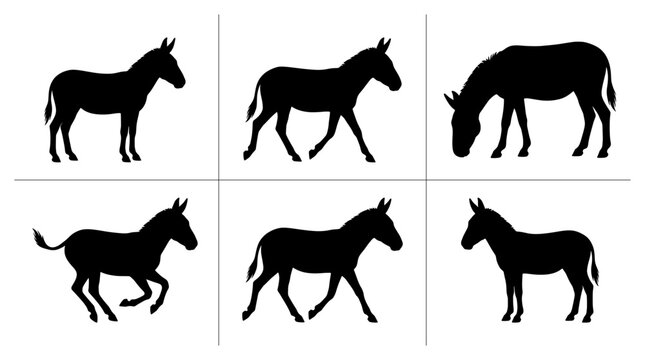 Donkey silhouettes set with figures in various poses, farm and wild animals for logos and icons