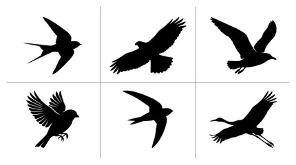 Fototapeta premium Bird silhouettes set with swallow, eagle, seagull, sparrow, swift and crane in flight for nature and wildlife logos