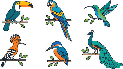 Fototapeta premium Exotic tropical bird vector collection with toucan, macaw, and peacock in flat line art. 