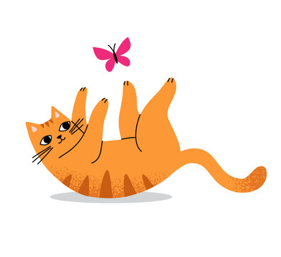 Cute funny orange cat laying on the back and trying to catch a butterfly. Happy playful pet illustration.