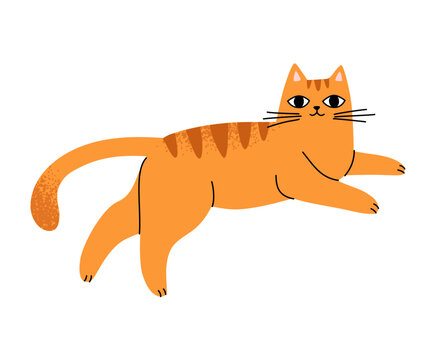 Cute orange cat laying in a chilling relaxed pose. Happy pet vector illustration.