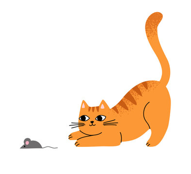 Cute funny orange cat hunting a mouse. Happy playful pet vector illustration.
