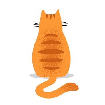 Orange cat sitting with its back turned. Offended, angry or sad pet illustration.
