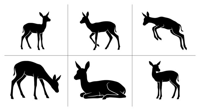 Springbok fawn silhouettes set with standing, walking, jumping, grazing and resting poses for wildlife design