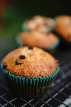 Homemade Banana chocolate chip muffins, selective focus