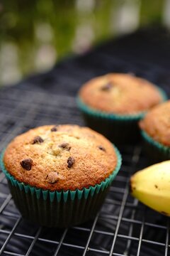 Homemade Banana chocolate chip muffins, selective focus