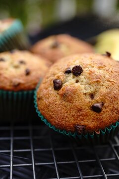 Homemade Banana chocolate chip muffins, selective focus