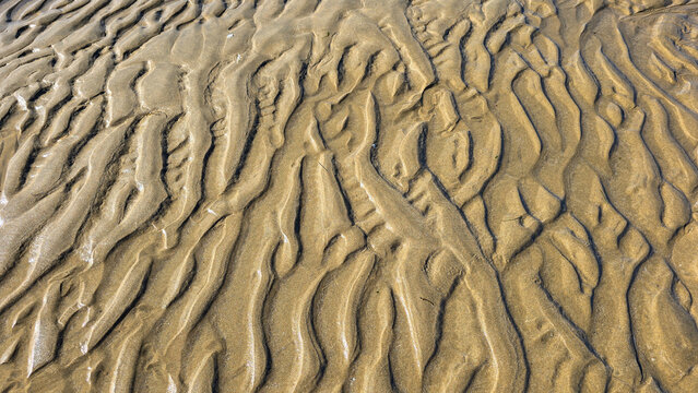 Golden sand ridges created by receding tide water on shoreline.