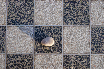 Abstract geometric pattern of an outdoor chess table. A texture of black and white mosaic squares featuring a smooth stone in the center. Ideal for themes related to urban lifestyle and street games. © Inna