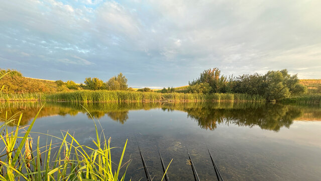 Fishing rods at calm pond with green reeds and trees
