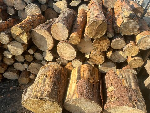 Stack of chopped pine firewood logs outdoors