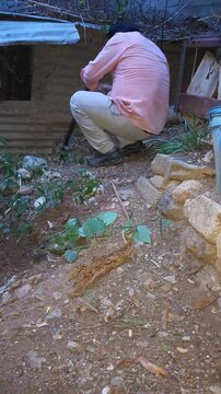 Young Gardener Kneeling and Digging Ground with Machete