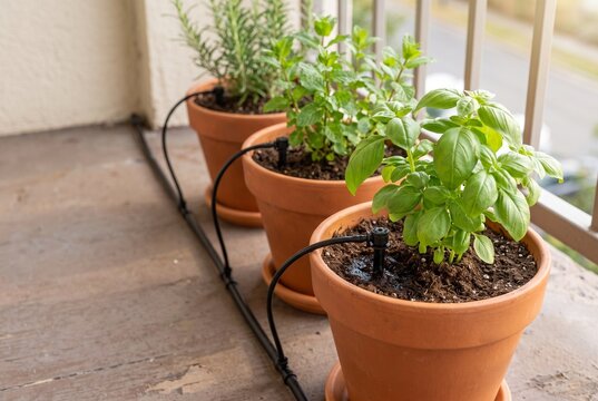 Mechanical watering timer connected to garden drip irrigation system