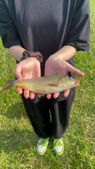 Freshwater Fish Held in Hands Outdoors © Guzeliia