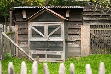 Wooden bird aviary or animal coop with wire mesh grid standing on green grass in a farm backyard against a rustic shed wall. © Anna