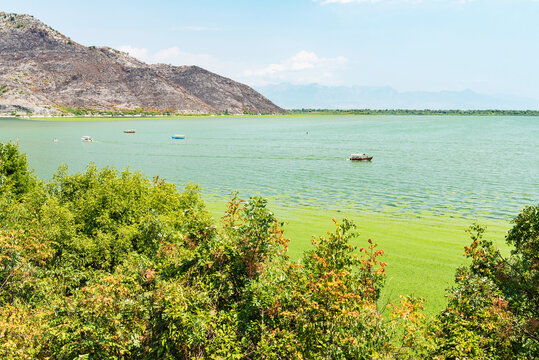 Gorgeous picturesque scene of Lake Skadar, Montenegro