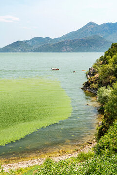 Gorgeous picturesque scene of Lake Skadar, Montenegro