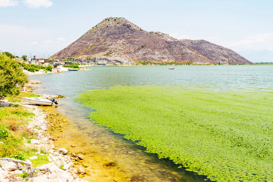 Gorgeous picturesque scene of Lake Skadar, Montenegro
