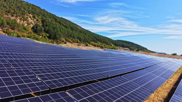 Rows of solar panels are situated on a hillside, capturing sunlight to generate electricity. The scene shows a clear blue sky and green trees in the background.