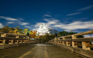 Osaka castle at night viewed from the parks bridge © Pawel Pajor