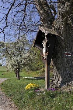 Wooden shrine with crucifix, Furth, Lower Austria, Austria, Europe