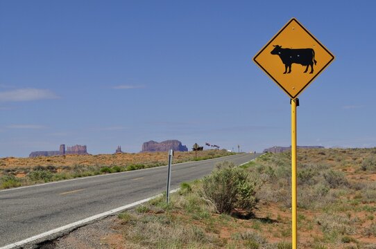 Cow warning sign next to a winding road through the desert near Monument Valley, Navajo Tribal Park, Navajo Nation Reservation, Utah, Arizona, USA