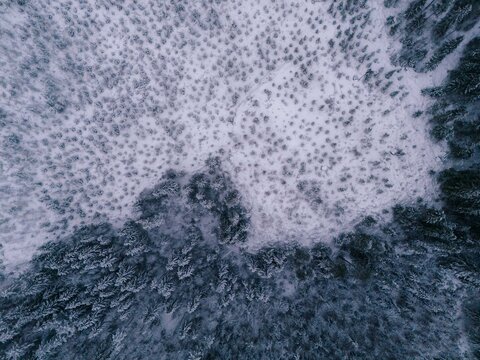 Aerial view of a snow-covered forest with dense evergreen trees and open clearings in the winter landscape of Finland.