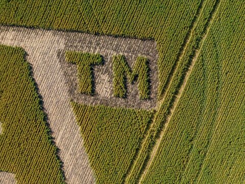 Aerial view of a large agricultural field with the letters TM mown into the crops, showcasing geometric patterns and textures in Caledon, Western Cape, South Africa.