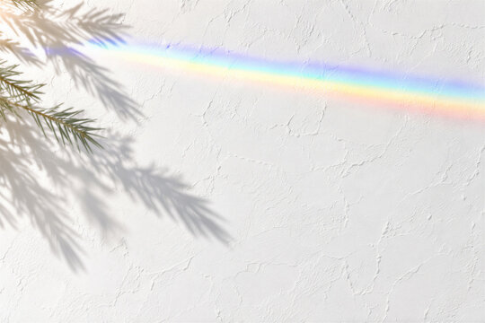 Prism light spectrum rainbow across textured white wall, pine branch shadow, bright sunlight effect. Minimalist background, abstract lighting, summer atmosphere.