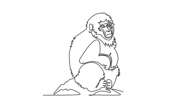 Self drawing animation of single line draw fluffy Japanese macaque or snow monkey sitting calmly on a rock, showing its fur, facial contours, and relaxed posture. Continuous line. Full length animated
