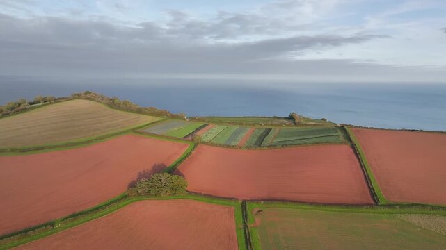 Colours of autumn Fields and Farms from a drone, Sheldon, Devon, England, United Kingdom